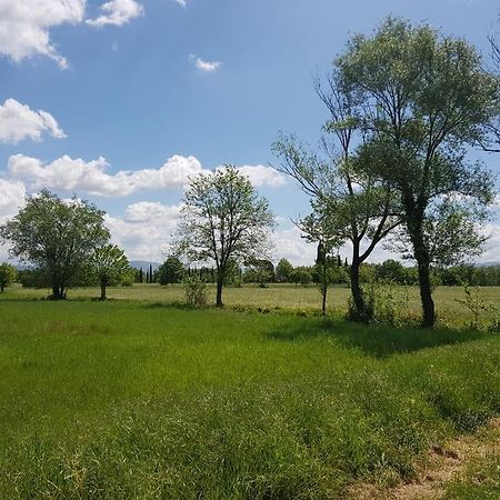 Podere Buriano أريتسو المظهر الخارجي الصورة