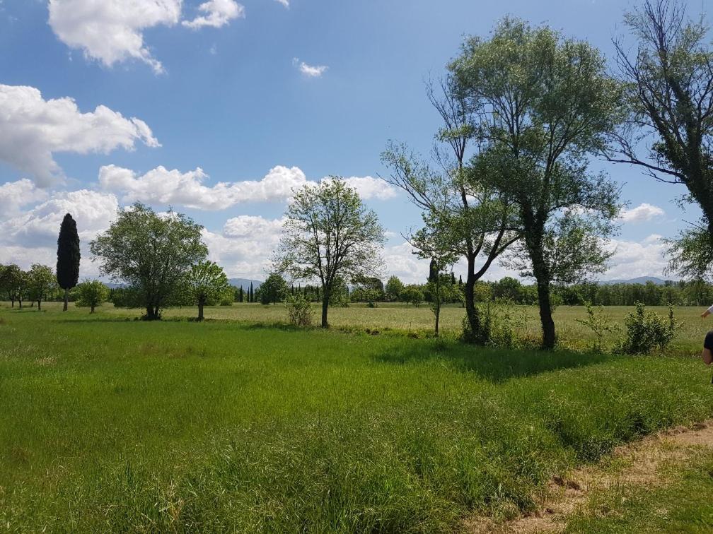 Podere Buriano أريتسو المظهر الخارجي الصورة